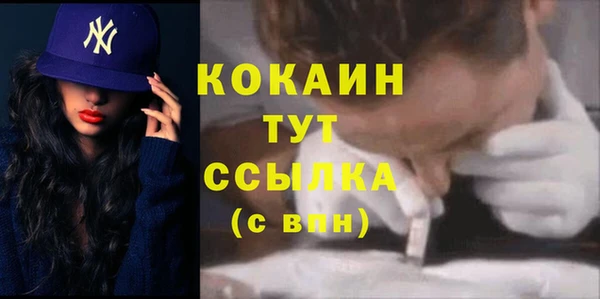 крисы Армянск