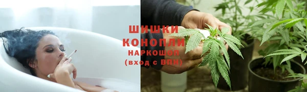 крисы Армянск