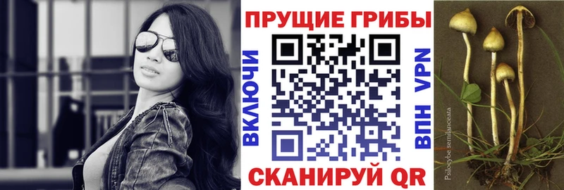 кракен рабочий сайт  Мамоново  Галлюциногенные грибы прущие грибы 